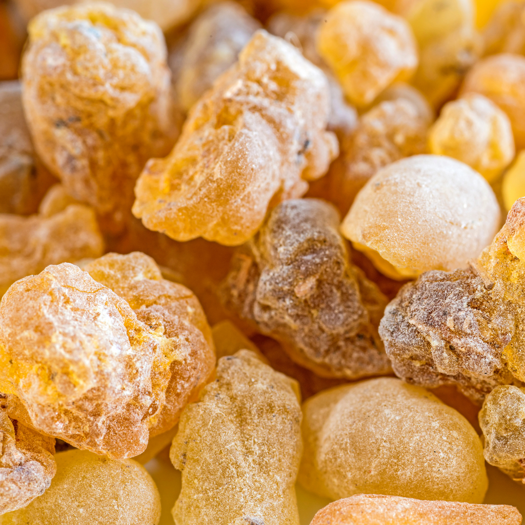Boswellia hars