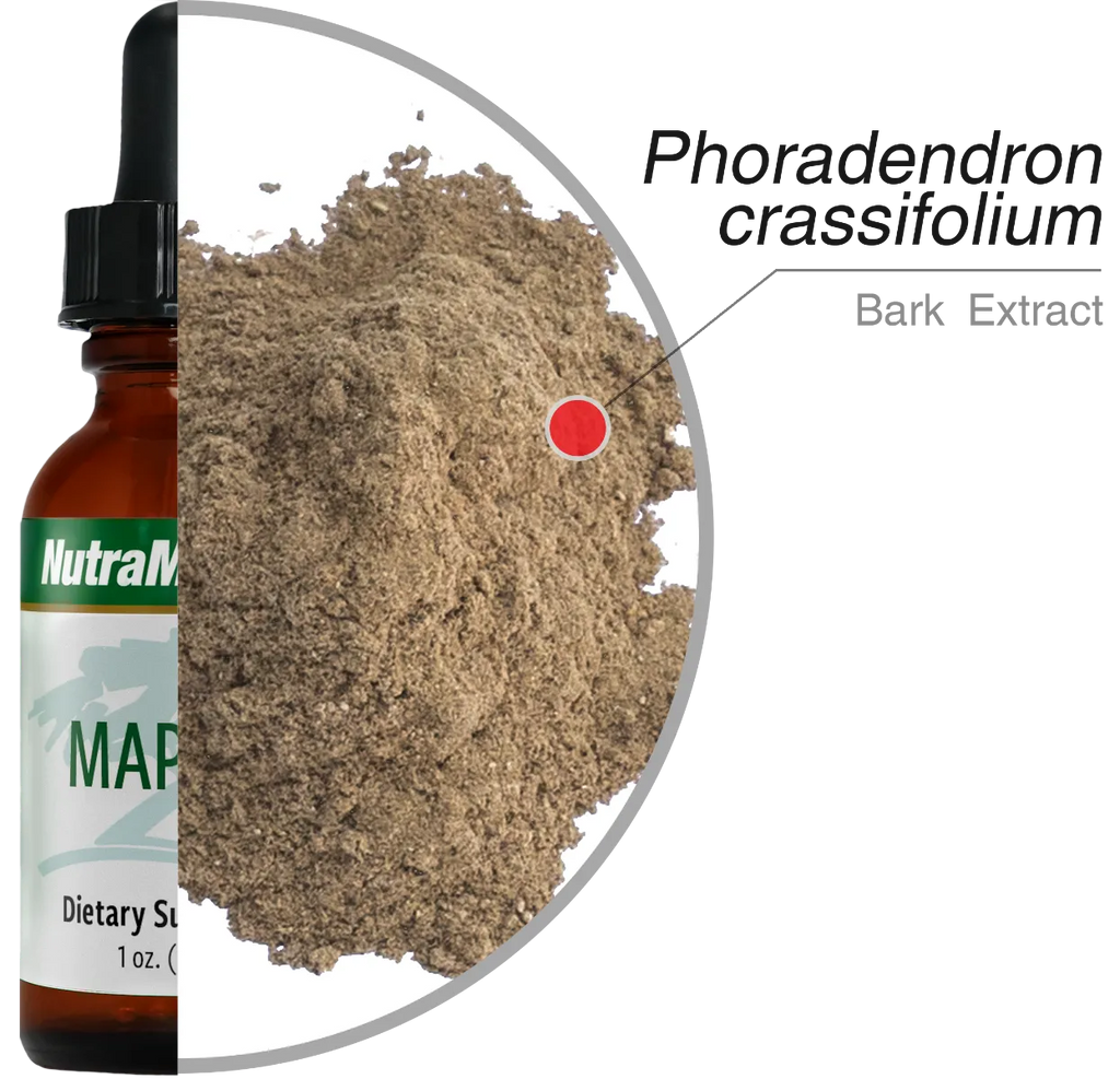 Mapalo Nutramedix (neuro support) ingrediënten - Green Vitality 