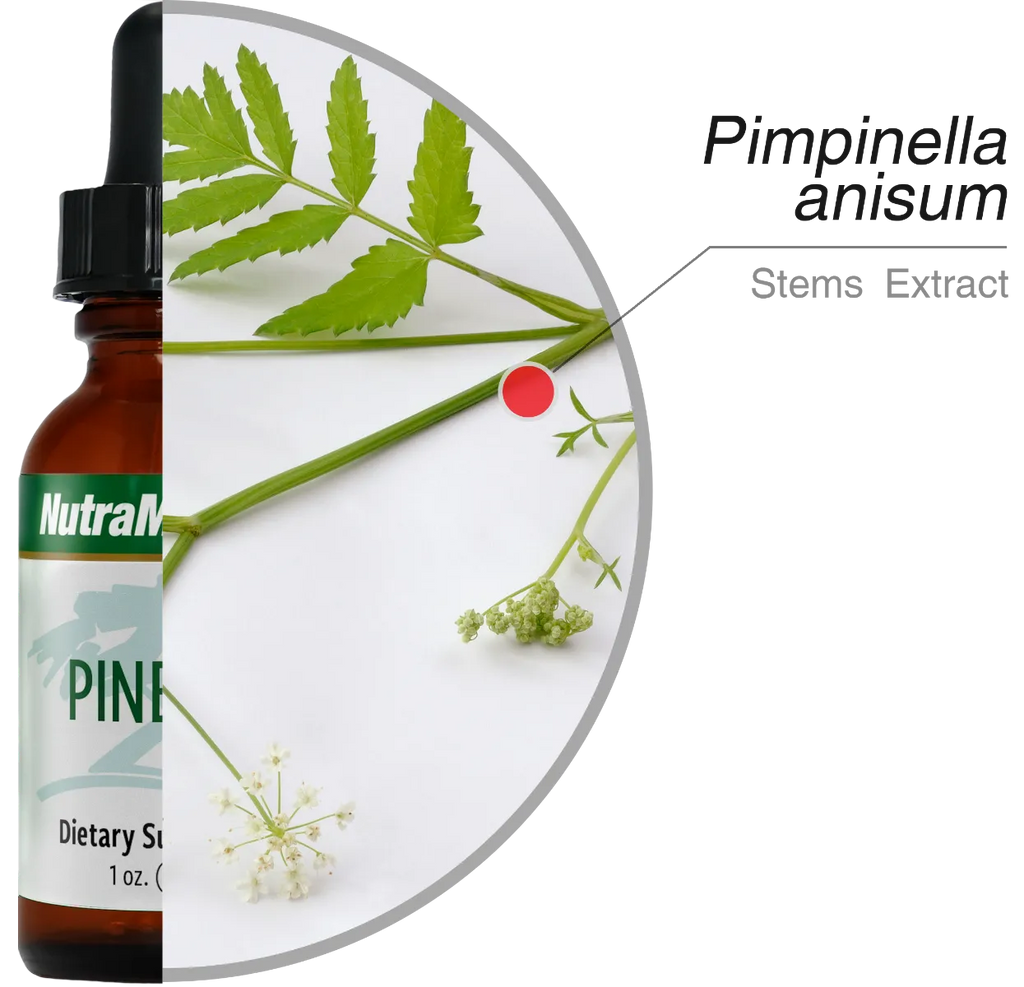 Pinella Nutramedix (nerve brain cleanse) ingrediënten - Green Vitality 