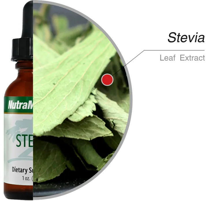 Stevia Nutramedix Kaardeshop ingrediënten - Green Vitality 